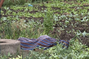 Cabo Delgado: Uma Criança encontrada morta na machamba em Metuge
