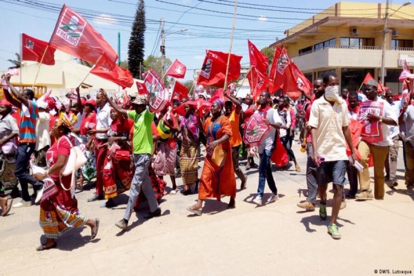 Cabo Delgado: FRELIMO congratula homenagem de Nyusi pela conservação da biodiversidade