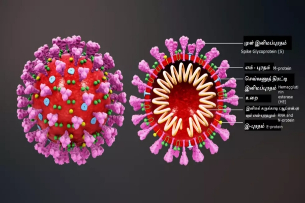 Simulação do vírus SARS-COV2 na origem da pandemia da Covid-19, que já matou 283 pessoas em Moçambique e contaminou mais de 30.000