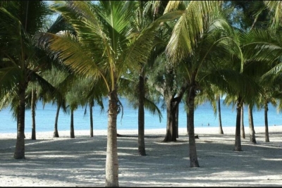 Paria do Wimbe, Cidade de Pemba Cabo Delgado