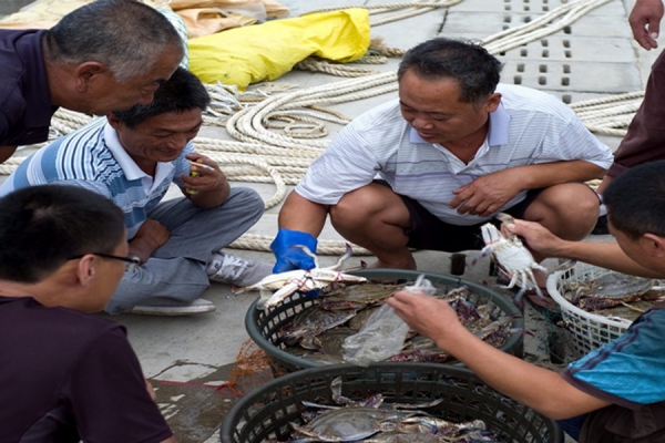 China testa animais marinhos para evitar propagação da COVID-19