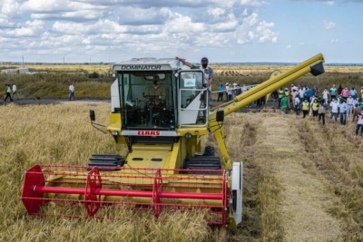 Moçambique poderá ser auto-suficiente na produção do arroz até 2030