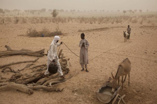 ONU: 29 milhões no Sahel precisam de assistência humanitária