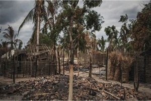 Cabo Delgado: Terroristas invadem a região de Nguri e saqueiam bens da população sem uso de violência