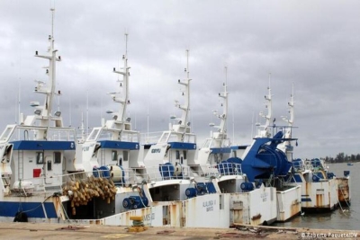 Dívidas ocultas: Ministro das Pescas diz que não autorizou compra de barcos da EMATUM