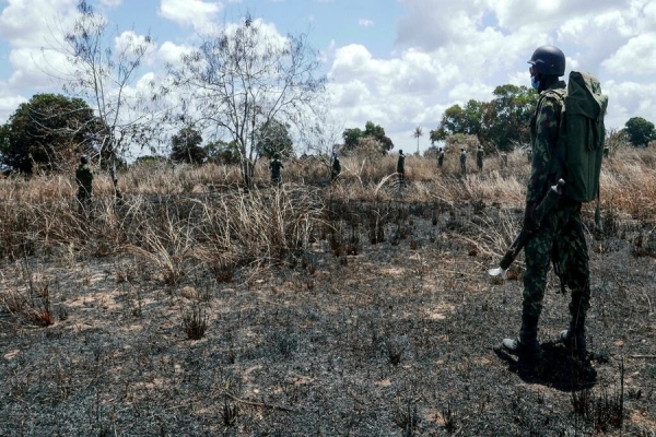 ONGs querem corredor humanitário em Cabo Delgado