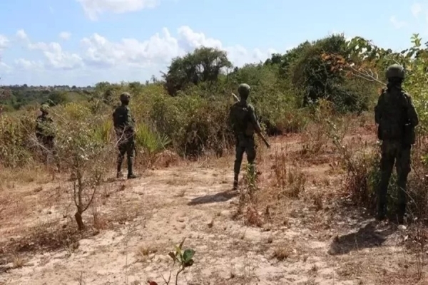 Cabo Delgado: Confirmado o ataque terrorista contra a base da Força de Defesa Segurança em Nairoto pela Administradora de Montepuez