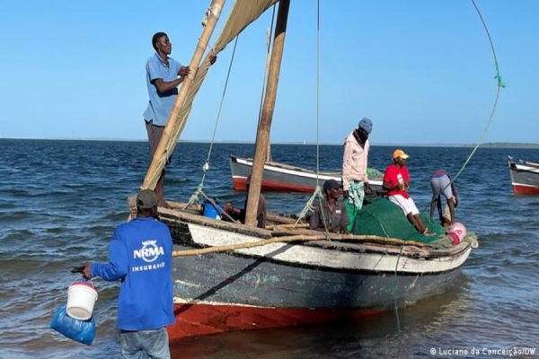 Cabo Delgado: Pescadores interditos de capturar camarão e caranguejo de mangual