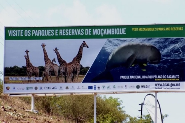 Colocação de painéis sobre preservação da biodiversidade custa 35 milhões de meticais