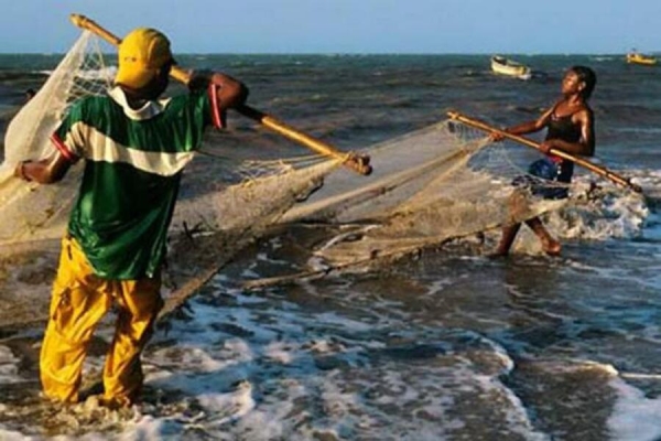 Cabo Delgado: Pesca ilegal de peixes juvenis coloca ecossistemas marinhos em risco – alerta ANP