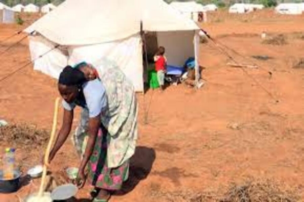 Cabo Delgado: Mais de 50 talhões atribuídos às famílias deslocadas no distrito de Namuno