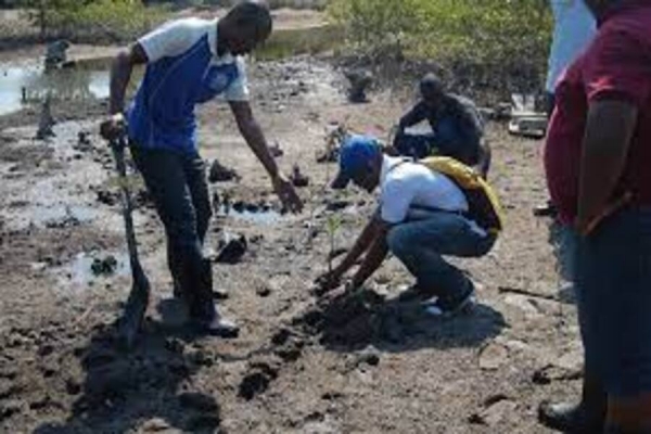 Moçambique e Nepal partilham experiências sobre a conservação do meio ambiente