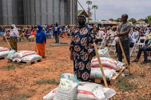 Cabo Delgado: Famílias deslocadas recebem 11 toneladas de insumos agrícolas