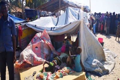 Cabo Delgado: Deslocados e locais em conflito por terras