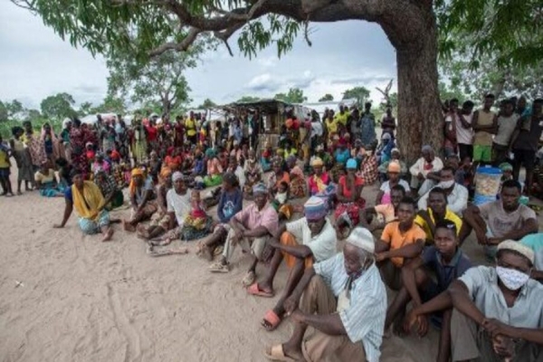 Cabo Delgado: Mais de 22 mil famílias deslocadas acomodadas em Metuge por causa de terrorismo.