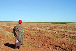 Cabo Delgado: Registados três casos de conflito de terra em Pemba