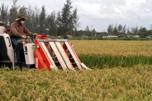 Cabo Delgado: Mais de 4 mil unidades produtivas foram encerradas devido à instabilidade