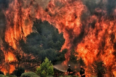 Grécia : sob calor intenso milhares de pessoas fogem dos fogos