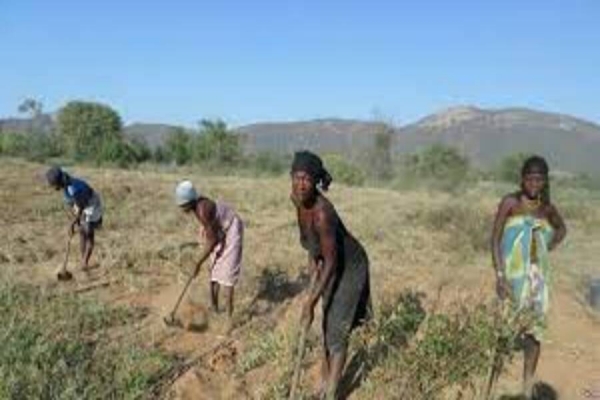 Cabo Delgado: Há falta de informação sobre aquisição de terras de população para o reassentamento dos deslocados