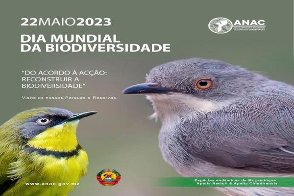 Moçambique celebra o Dia Internacional de Conservação da Biodiversidade, 22 de Maio