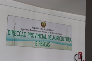 Cabo Delgado: Gabinete de Combate à Corrupção investiga desvio de 14 milhões de meticais envolvendo o Director Provincial de Agricultura e Pescas   