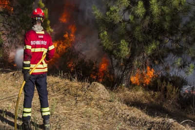 Mais de 200 mortos devido ao calor em Portugal