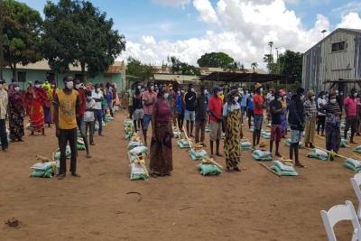 Cabo Delgado: ADIN benefícia 600 famílias deslocadas através de kits de produção agrícola em Mueda