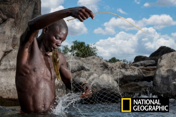 Moçambique em destaque: National Geographic evidencia a Reserva Especial do Niassa na sua edição de Setembro de 2023