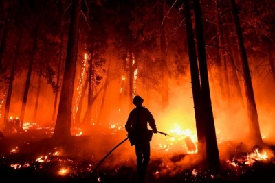 Um incêndio na Floresta Nacional de Sequóia em agosto de 2021. Agora, os incêndios na área estão ameaçando as sequóias do estado