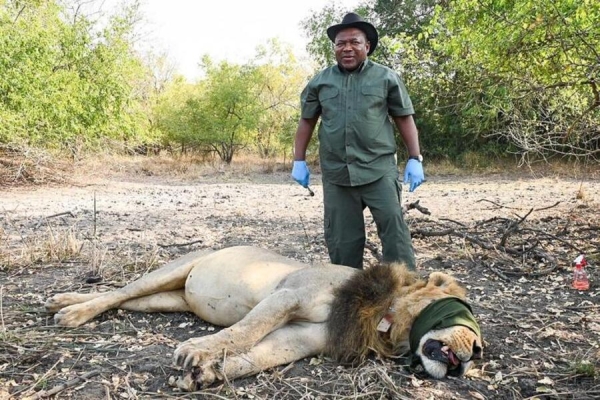 PR. Filipe Nyusi, no Parque Nacional de Gorongosa.