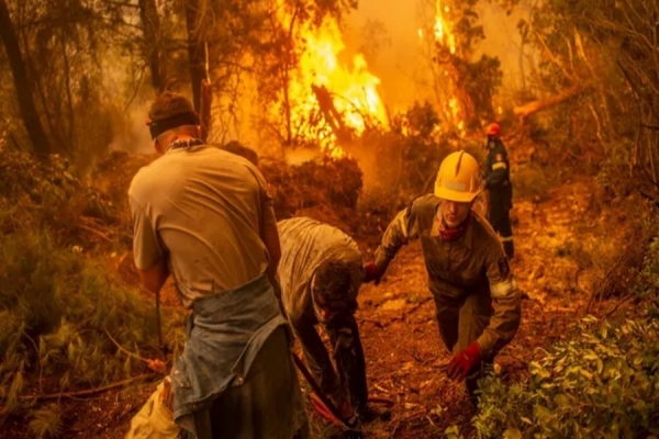 &quot;Calamidade&quot; na Grécia continua com incêndio a destruir 80% da ilha de Eubeia