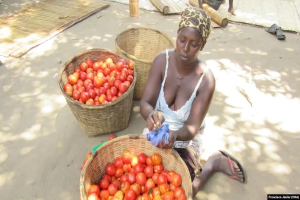 Luisa João, camponesa, Tica, Moçambique