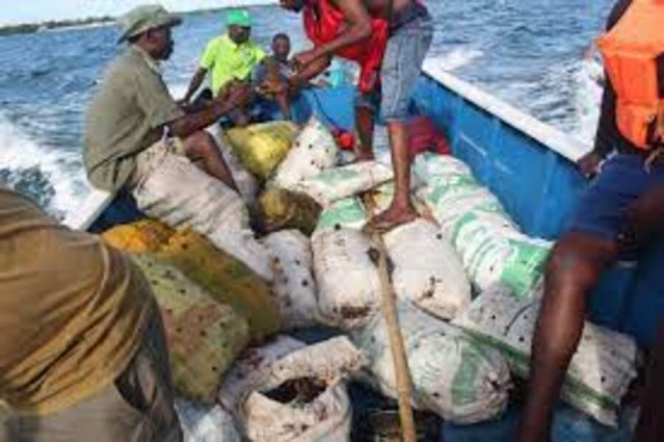 Cabo Delgado: Multa de 600 mil meticais para Cidadão Chinês envolvido na apreensão de 1 tonelada de caranguejo vivo