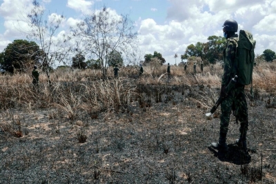 HRW considera que os Direitos Humanos voltaram a degradar-se em Moçambique