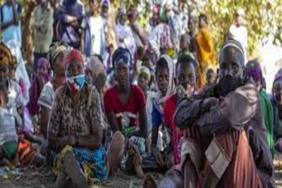 Cabo Delgado: Cerca de 3 mil famílias deslocadas beneficiam-se de sementes melhoradas para agricultura