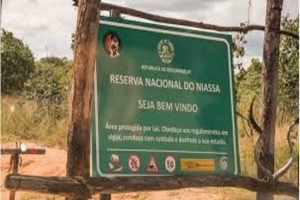 Niassa: Mais de 50 pessoas detidas na Reserva Especial do Niassa