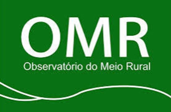 Cabo Delgado: Observatório do Meio Rural alerta que manifestações podem alimentar o terrorismo