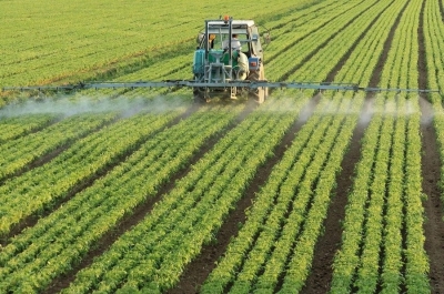 Cabo Delgado: Cerca de 4 bilhões de dólares investidos no Plano Estratégico de Desenvolvimento Agrário